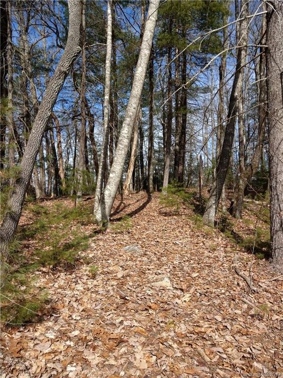 Property image 4 at 000 Dogwood Circle, Penrose, NC 28766