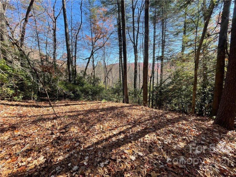 Property image 2 at 128 Twisted Tree Lane, Brevard, NC 28712