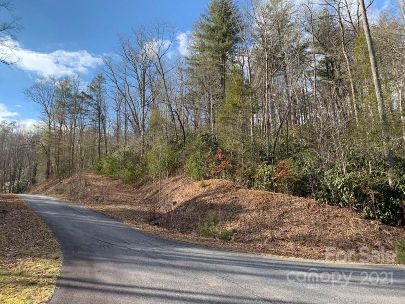 Property image 3 at 128 Twisted Tree Lane, Brevard, NC 28712