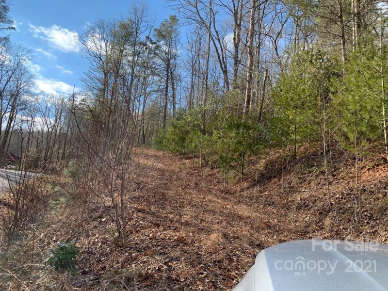 Property image 4 at 128 Twisted Tree Lane, Brevard, NC 28712