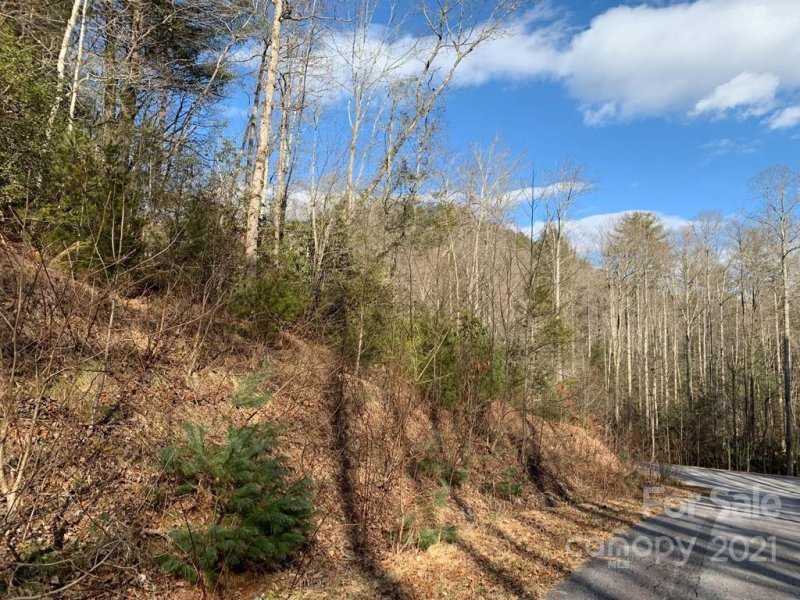 Property image 5 at 128 Twisted Tree Lane, Brevard, NC 28712