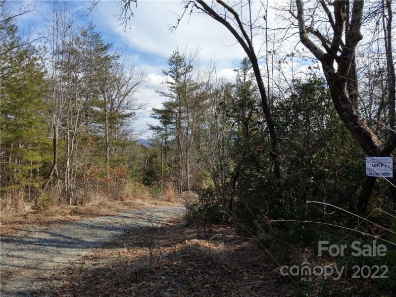 Property image 5 of 000 Emma Bri Lane in Dogwood Mountain Estates, Hendersonville, NC 28739