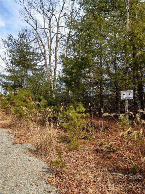Property image 3 at 000 Emma Bri Lane, Hendersonville, NC 28739