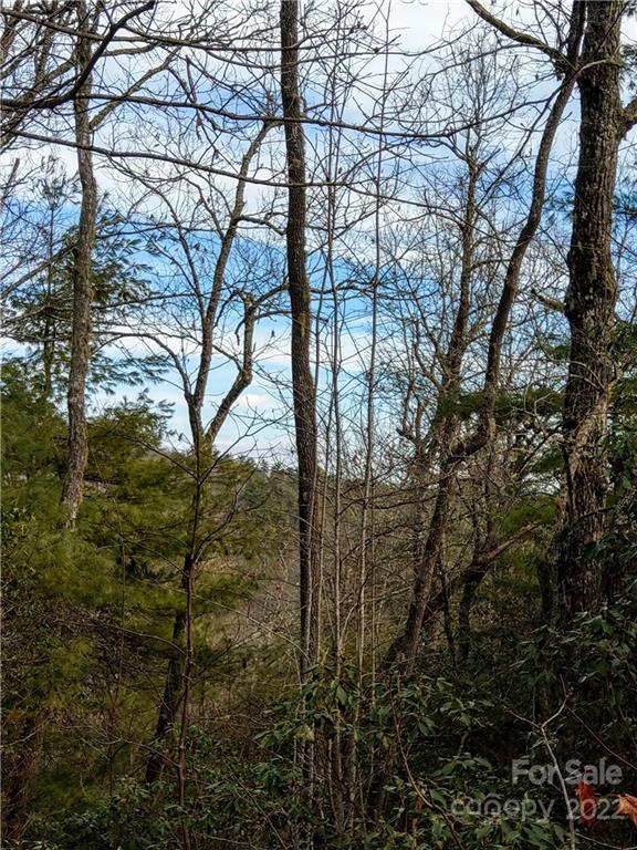 Property image 4 at 000 Emma Bri Lane, Hendersonville, NC 28739
