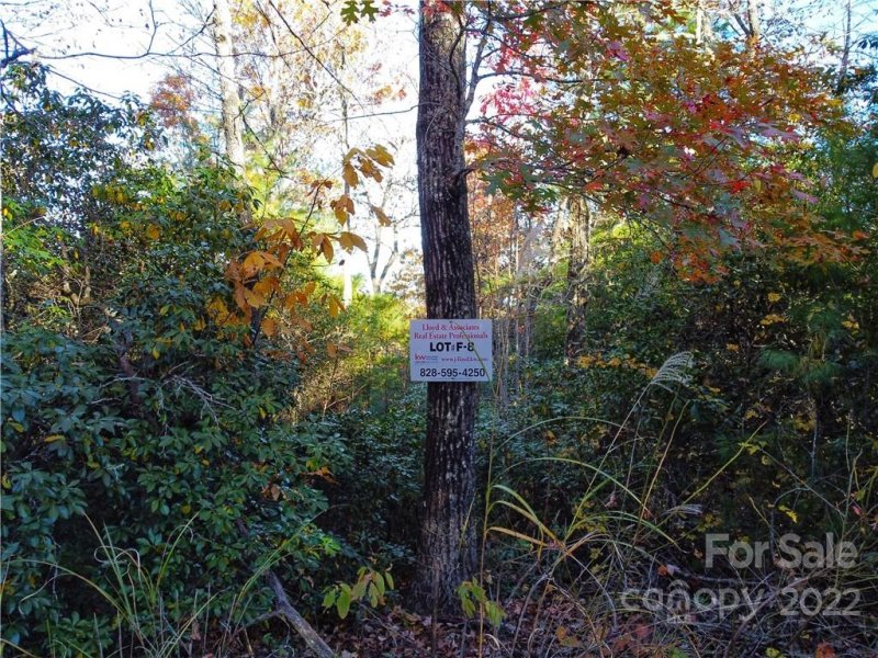 Property image 3 at 000 Emma Bri Lane, Hendersonville, NC 28739