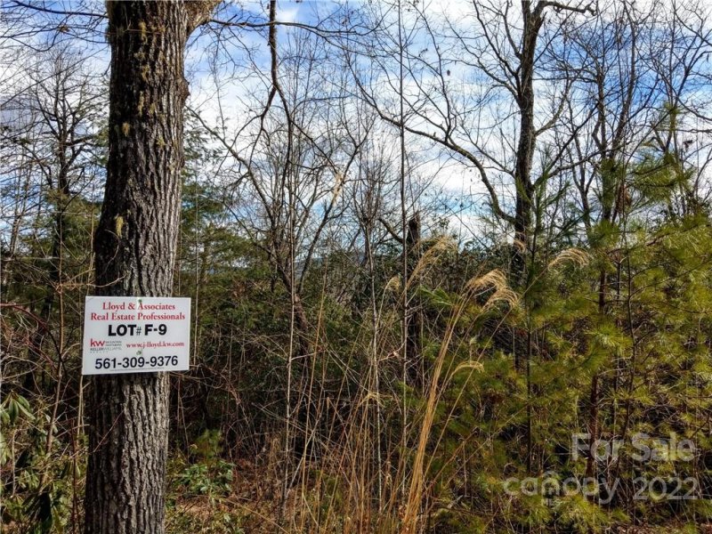 Property image 3 of 000 Emma Bri Lane in Dogwood Mountain Estates, Hendersonville, NC 28739