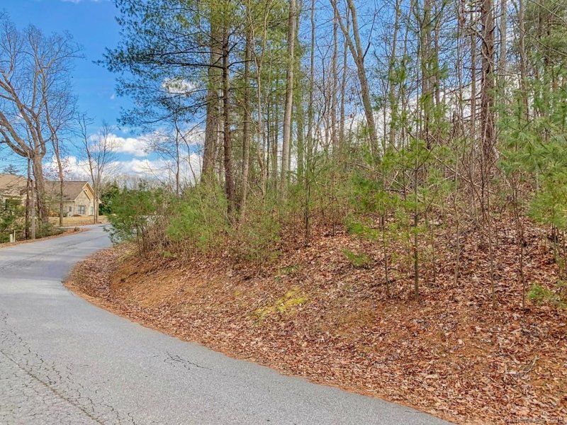 Property image 2 at Lot 20 Bobcat Trail, Clyde, NC 28721