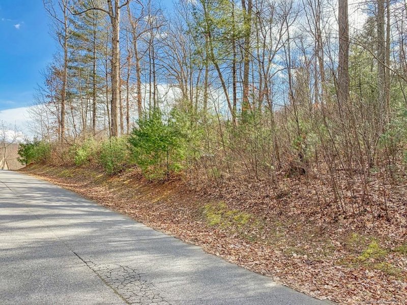 Property image 3 at Lot 20 Bobcat Trail, Clyde, NC 28721