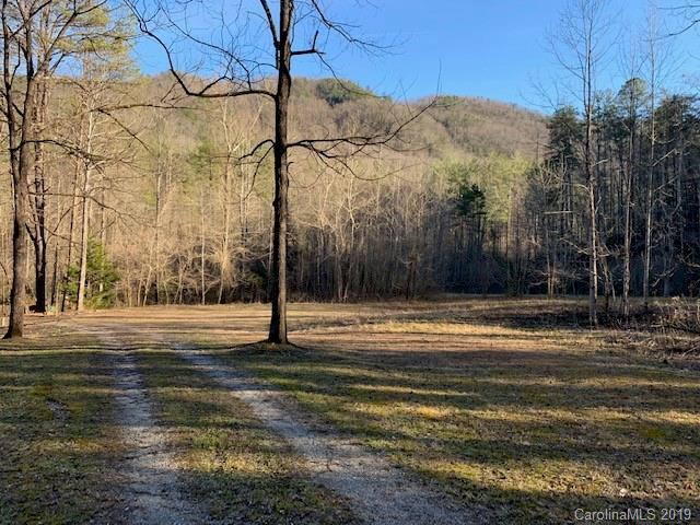 Property image 3 at 0000 Trillium Lane, Lake Lure, NC 28746