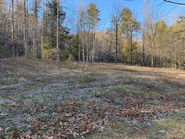 Property image 4 at 0000 Trillium Lane, Lake Lure, NC 28746