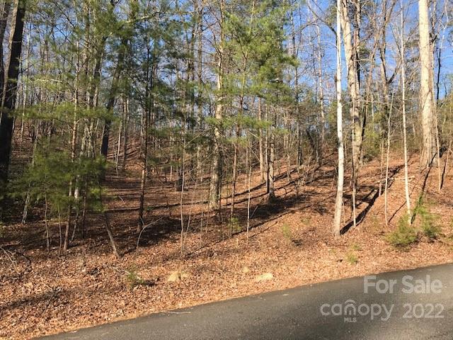 Property image 2 at 0 Lakewood Drive, Lake Lure, NC 28746