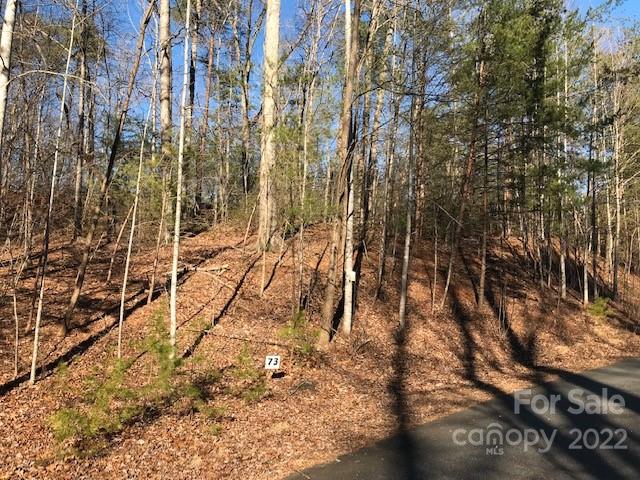 Property image 3 at 0 Lakewood Drive, Lake Lure, NC 28746