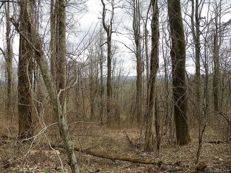 Property image 4 at Lot 2 Eastgate Gateway Drive, Hendersonville, NC 28739