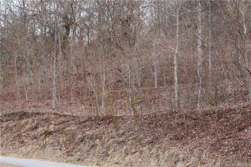 Property image 2 at L 5 Gordon Drive, Waynesville, NC 28786