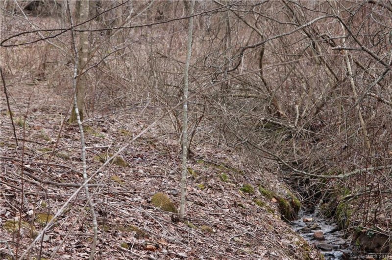 Property image 3 at L 5 Gordon Drive, Waynesville, NC 28786