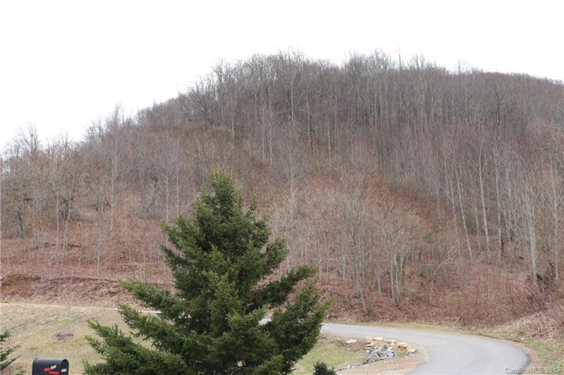 Property image 5 at L 5 Gordon Drive, Waynesville, NC 28786