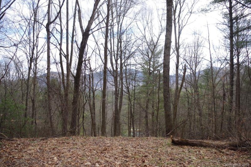 Property image 4 at 550 Echo Hill Drive, Green Mountain, NC 28740