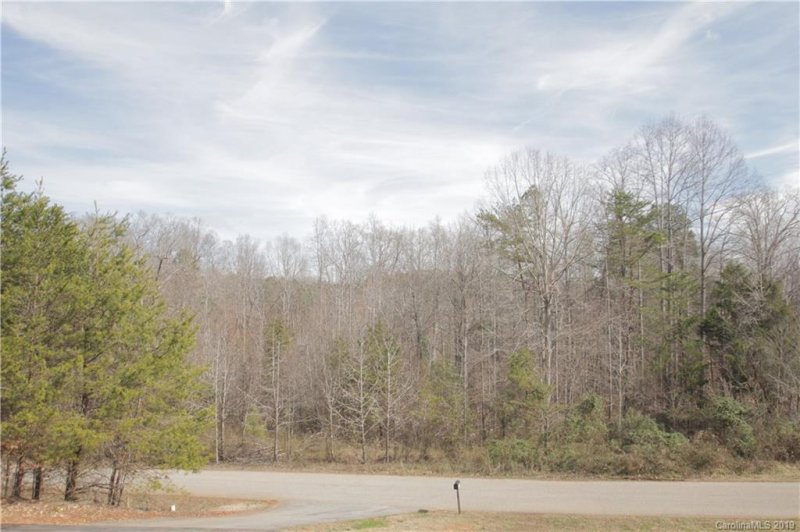 Property image 2 at 2895 Sweeping Pine Lane, Denver, NC 28037