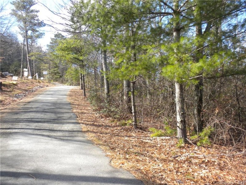 Property image 3 at 115 Davey Crockett Road, Fairview, NC 28730