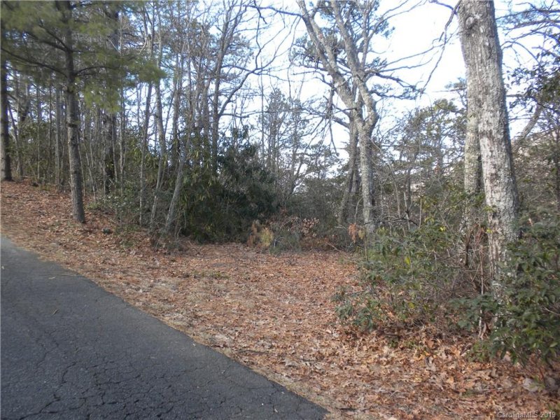 Property image 4 at 115 Davey Crockett Road, Fairview, NC 28730