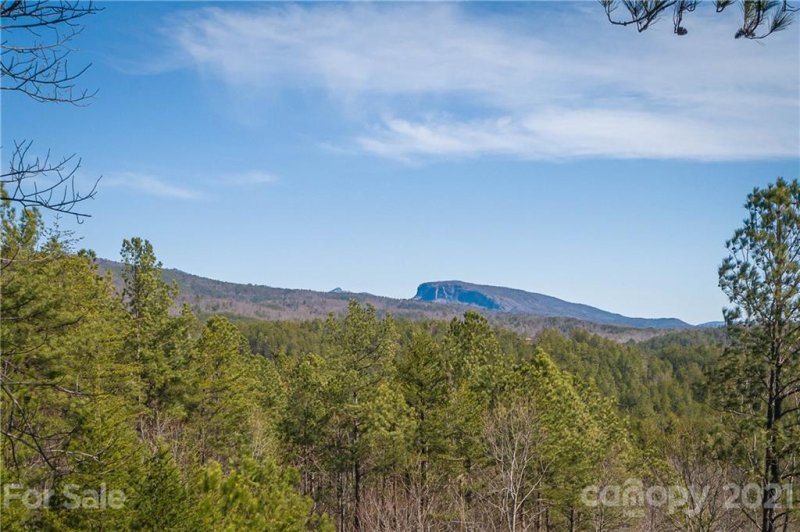 Property image 2 at Lot 6 Pisgah Preserve Drive, Nebo, NC 28761