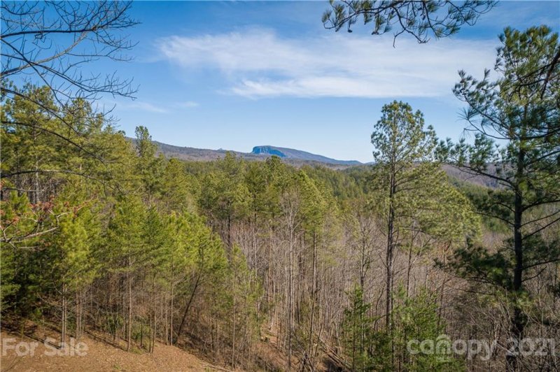 Property image 3 at Lot 6 Pisgah Preserve Drive, Nebo, NC 28761