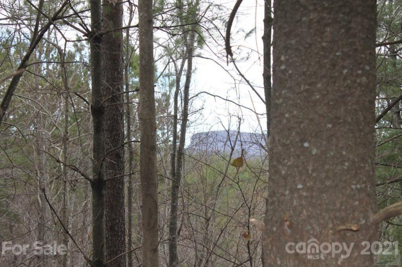 Property image 4 at Lot 6 Pisgah Preserve Drive, Nebo, NC 28761