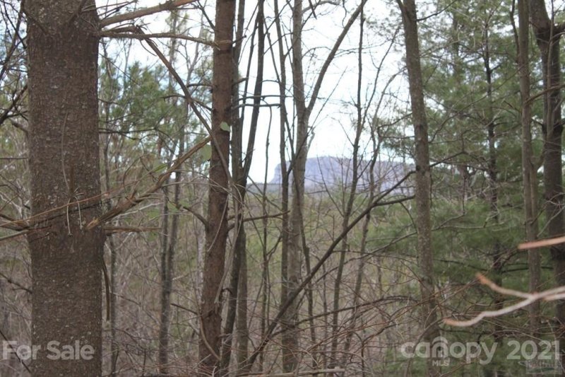 Property image 5 at Lot 6 Pisgah Preserve Drive, Nebo, NC 28761