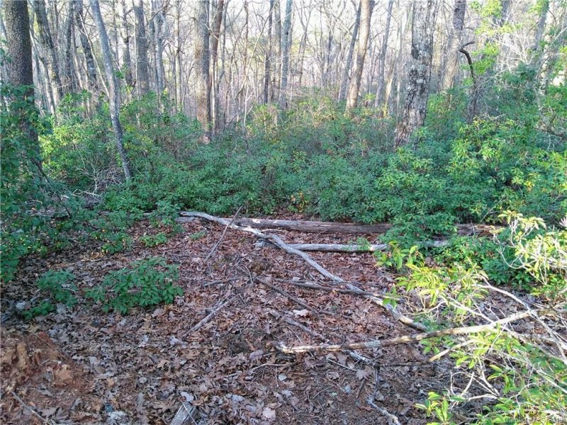 Property image 2 at 0 Rabbits Place, Lake Lure, NC 28746