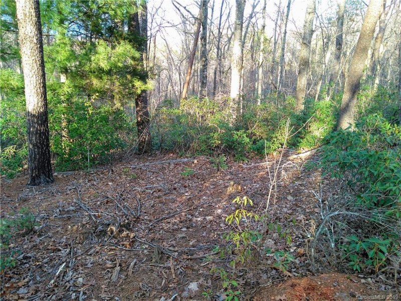 Property image 3 at 0 Rabbits Place, Lake Lure, NC 28746