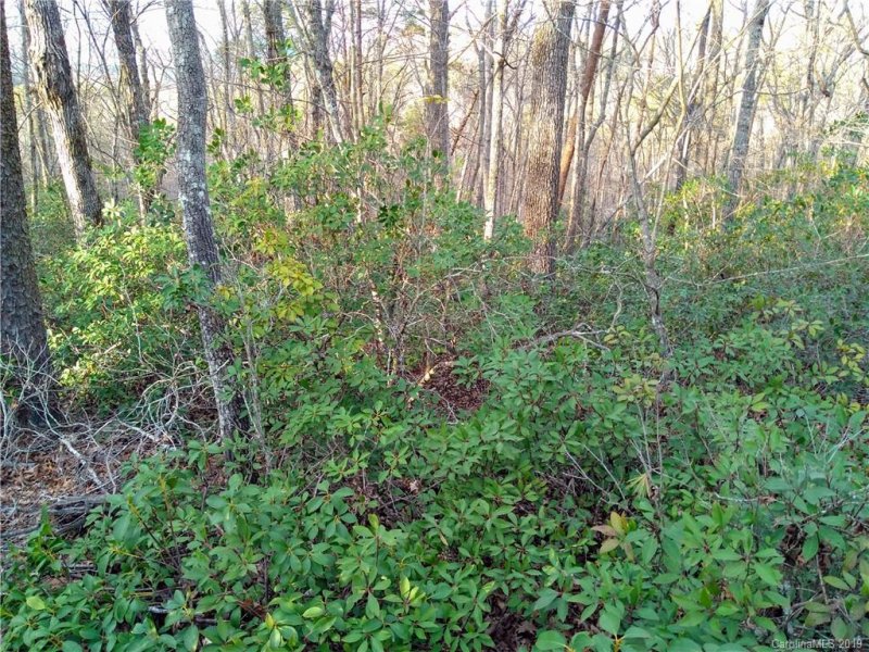 Property image 4 at 0 Rabbits Place, Lake Lure, NC 28746