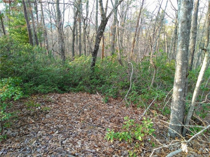 Property image 5 at 0 Rabbits Place, Lake Lure, NC 28746