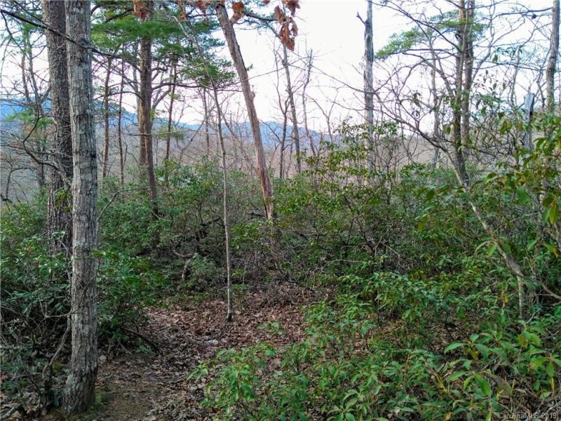 Property image 2 at 0 Starling Road, Lake Lure, NC 28746