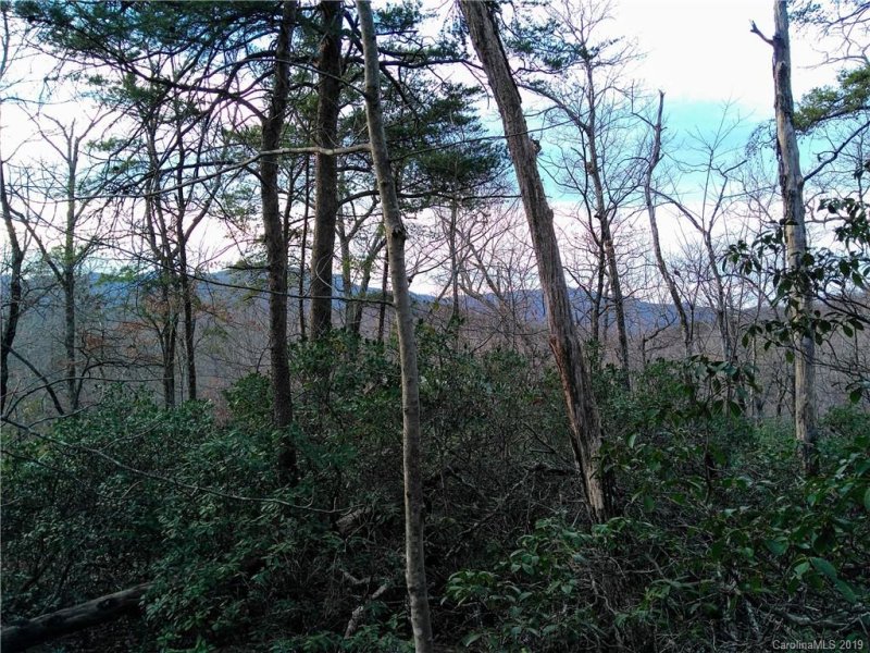 Property image 3 at 0 Starling Road, Lake Lure, NC 28746