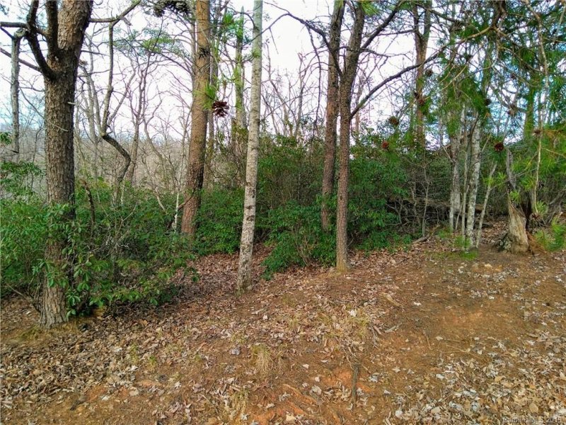 Property image 5 at 0 Starling Road, Lake Lure, NC 28746