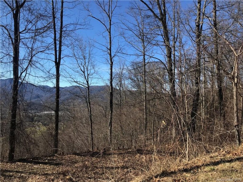 Property image 3 at 599 Equestrian Drive, Waynesville, NC 28786