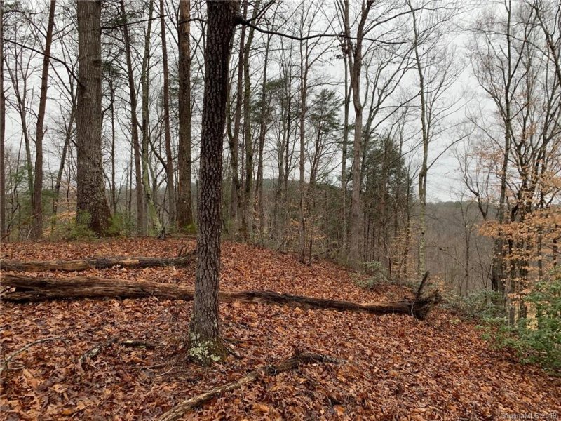 Property image 5 at Lot 5 S Cross Creek Trail, Mill Spring, NC 28756
