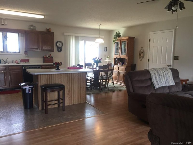 Property image 4 at 450 Case Cove Road, Candler, NC 28715