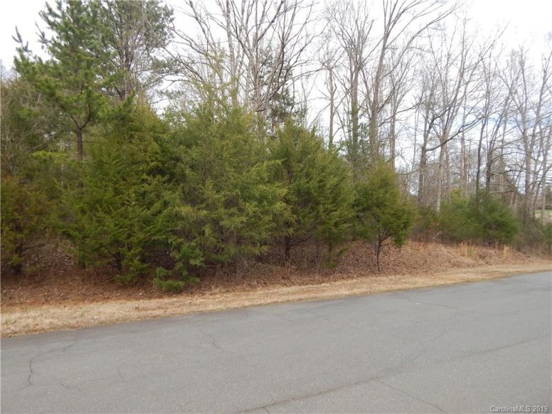Property image 3 at Lot 42 Newcastle Drive, Rock Hill, SC 29732