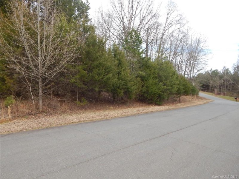 Property image 4 at Lot 42 Newcastle Drive, Rock Hill, SC 29732
