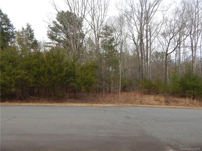 Property image 5 at Lot 42 Newcastle Drive, Rock Hill, SC 29732