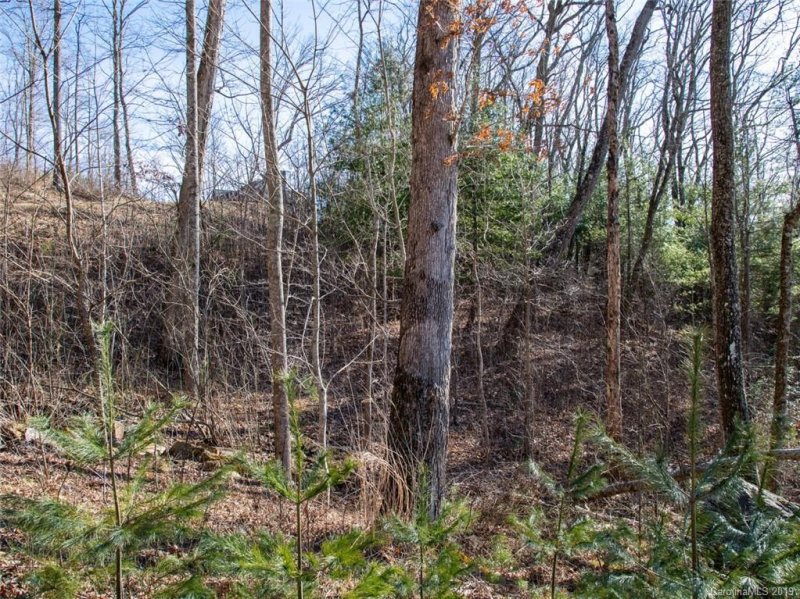 Property image 5 at 18 Giffords Lane, Asheville, NC 28803