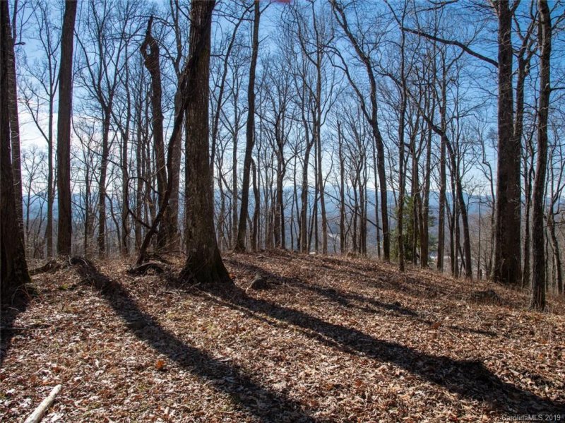 Property image 5 at 00000 Old Forest Drive, Asheville, NC 28803