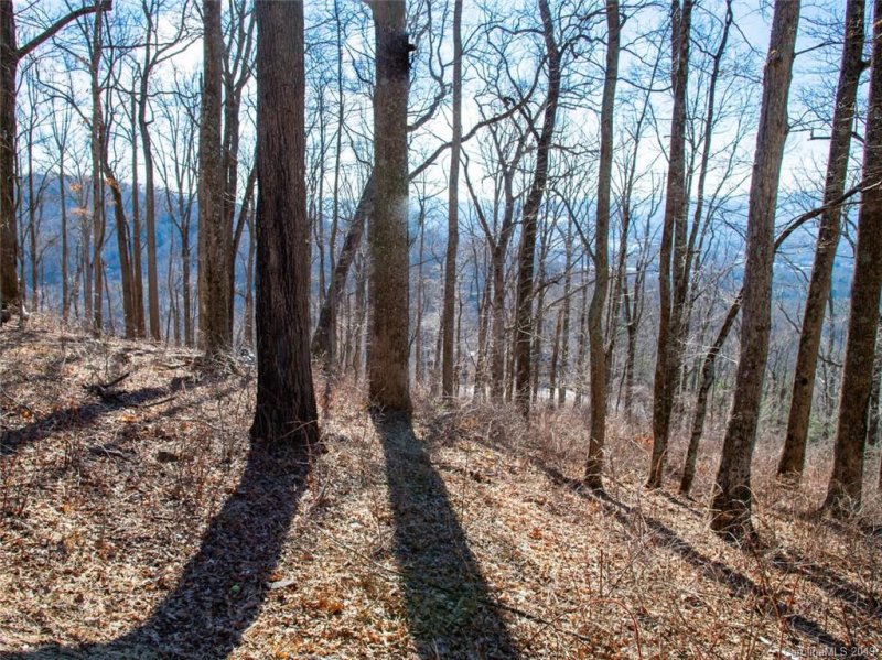 Property image 5 at 99999 Old Forest Drive, Asheville, NC 28803