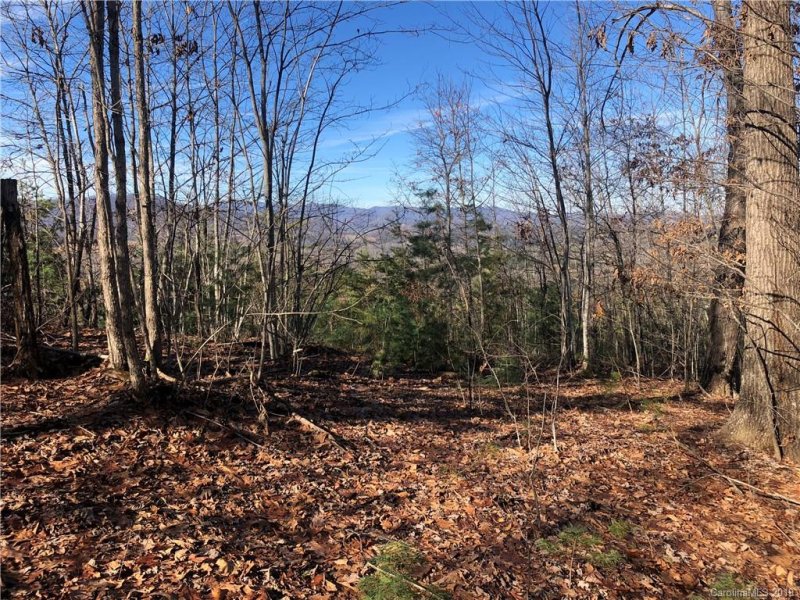 Property image 3 at 95 Balsamwood Drive, Leicester, NC 28748