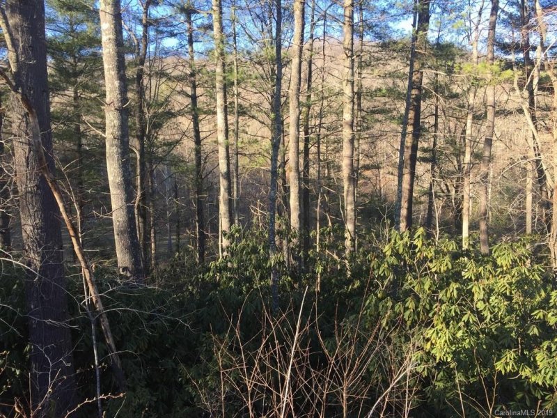 Property image 2 at 946 Morgan Hill Road, Black Mountain, NC 28711