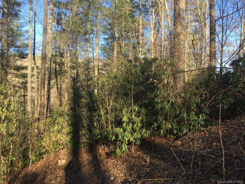 Property image 3 at 946 Morgan Hill Road, Black Mountain, NC 28711