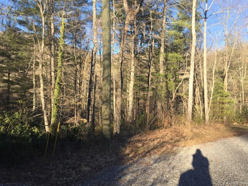 Property image 5 at 946 Morgan Hill Road, Black Mountain, NC 28711