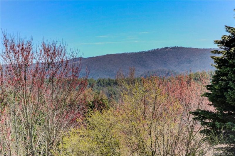 Property image 3 at 2010 Holly Tree Hill, Hendersonville, NC 28739