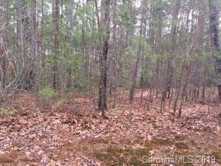 Property image 2 at 21 Loblolly Lane, Mill Spring, NC 28756